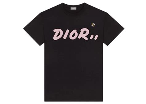 the dior x kaws shirt|kaws dior stockx.